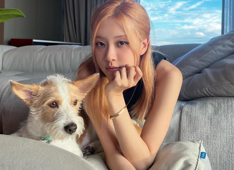 眼睛小的明星（全网眼睛最小宝宝火了）