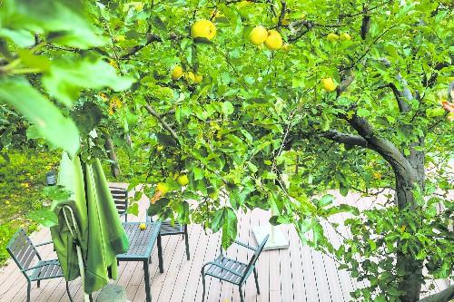 积极发展共享农庄新业态 共享农庄模式落地小金(3)