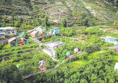 积极发展共享农庄新业态 共享农庄模式落地小金(6)