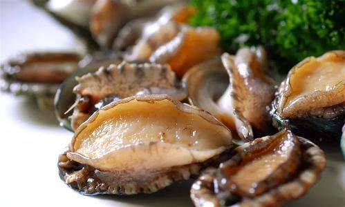 鲍鱼主要是吃什么部位,吃鲍鱼主要吃它的什么部位?图7