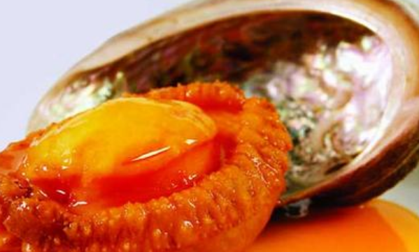 鲍鱼主要是吃什么部位,吃鲍鱼主要吃它的什么部位?图2