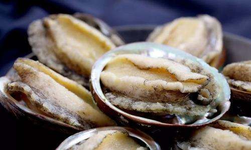 鲍鱼主要是吃什么部位,吃鲍鱼主要吃它的什么部位?图9