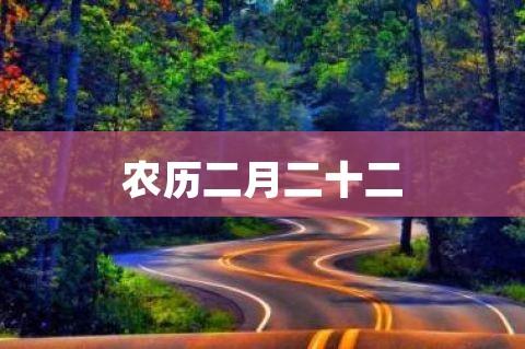 农历二月二十二出生的人（农历二月二十二出生的人命运如何）