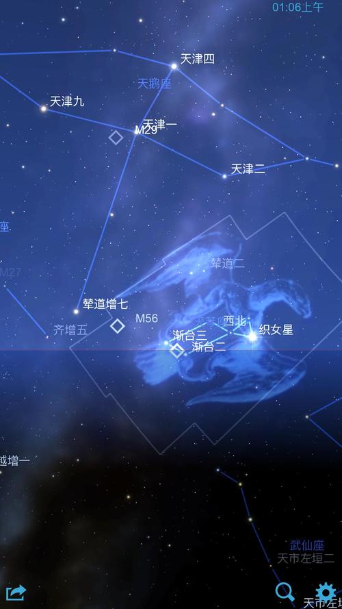 织女星位于哪个星座（属于什么星座）