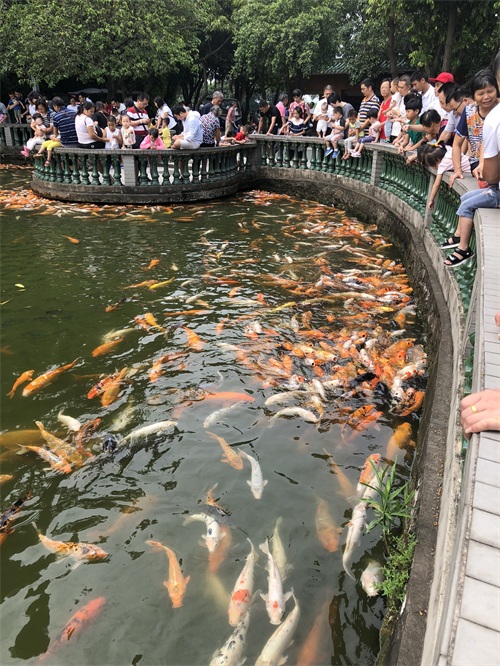 七星岩（肇庆）