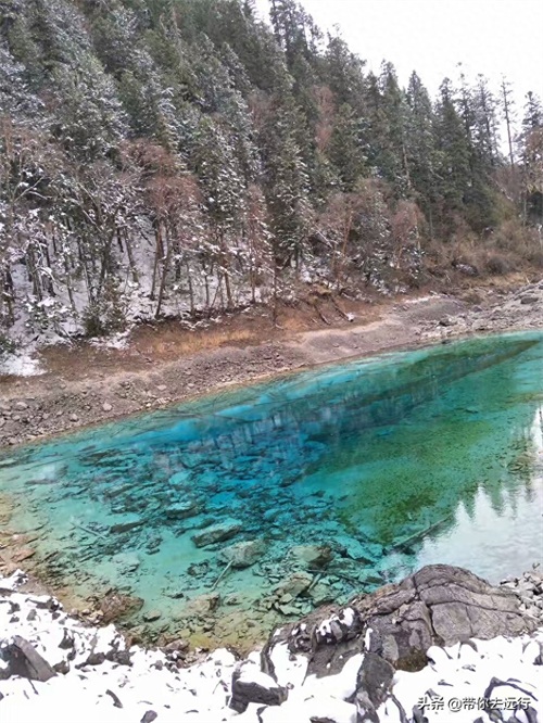带给你梦幻般的色彩，既神奇又迷人的景色—四川九寨沟五彩池