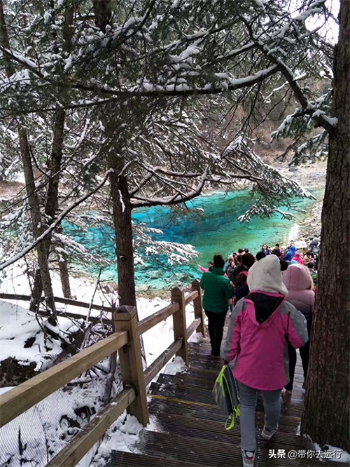 带给你梦幻般的色彩，既神奇又迷人的景色—四川九寨沟五彩池