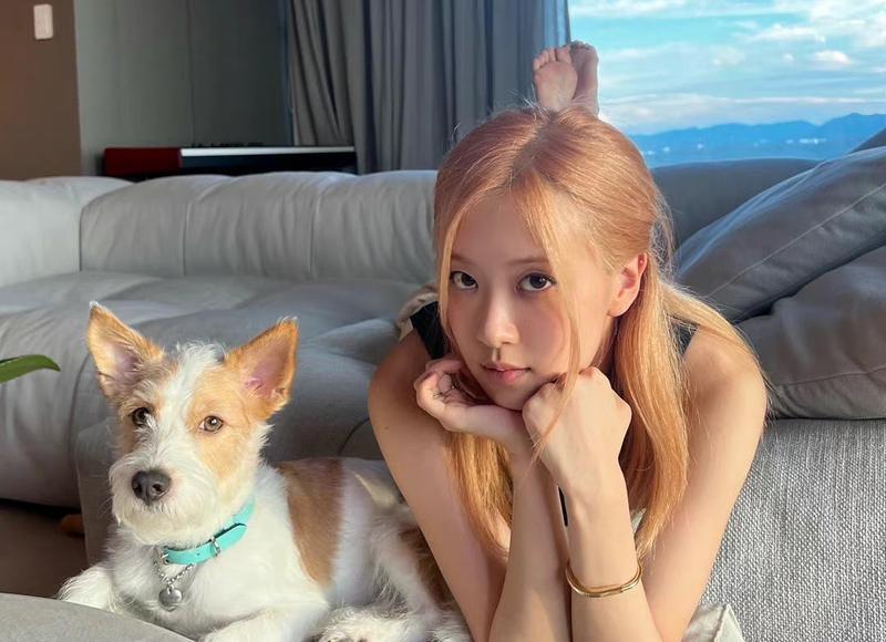 真正爱一个人会在意对方的过去吗