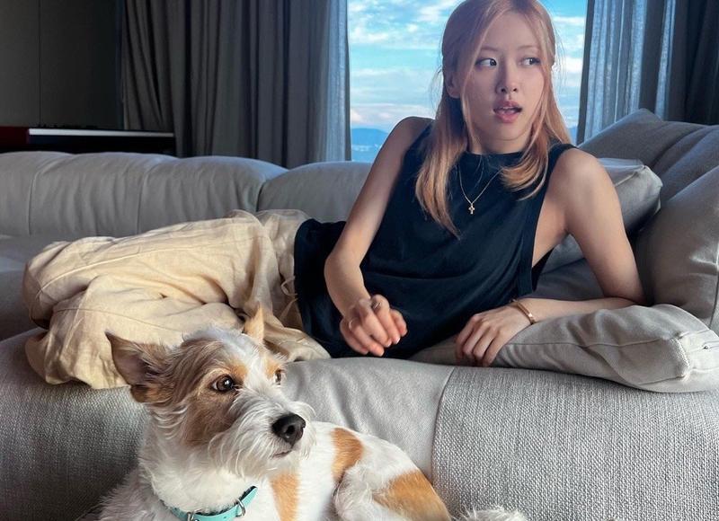 妻子感染HPV丈夫也需要检查吗 妻子为何会感染HPV