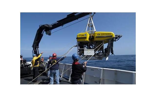 冬天，此水果正大量上市，遇见多买点，简单煮一煮，早食早受益