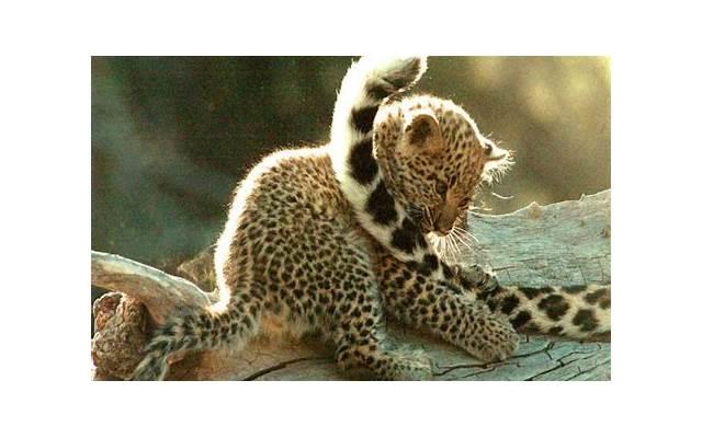 同城聊天约会技巧