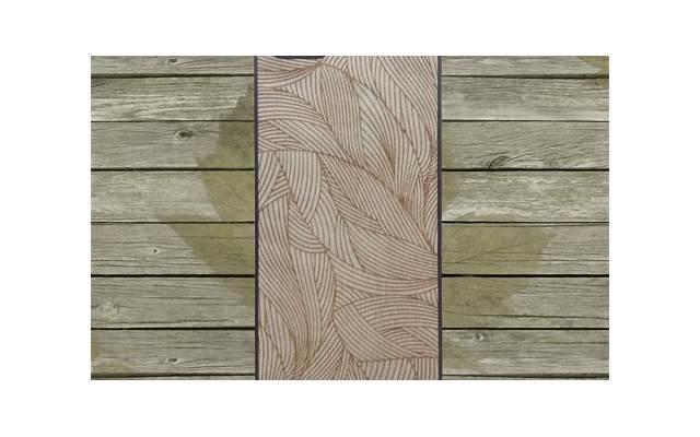 猫头鹰和老虎谁厉害