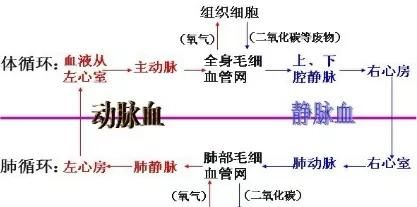 吃百香果能吃海鲜吗，5斤百香果能带上飞机么？图8