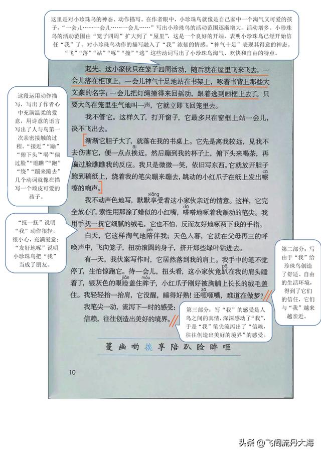 语文五年级上册珍珠鸟笔记(小学五年级上语文4课珍珠鸟课堂笔记)(3)
