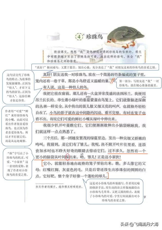语文五年级上册珍珠鸟笔记(小学五年级上语文4课珍珠鸟课堂笔记)(2)