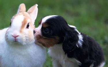 祝老师的祝福语,写给老师的祝福语有哪些?e图3