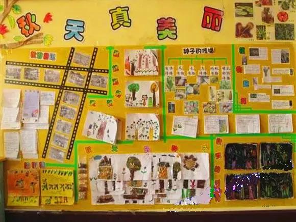 环创幼儿园主题墙图文并茂（环创幼儿园环创）(24)