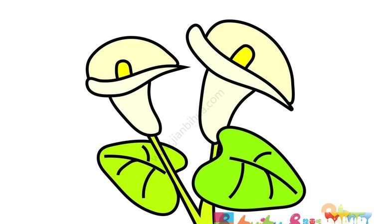 意大利的国花是什么花