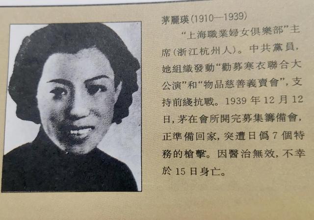 一二八抗日纪实(中华抗日风云录)(8)