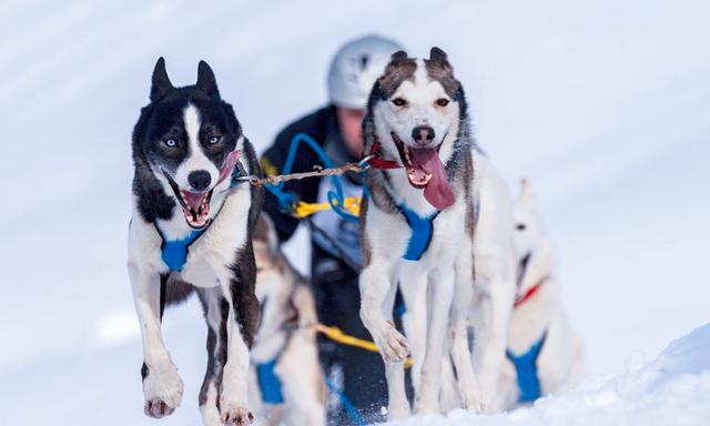爱斯基摩人的悲哀（以妻待客的爱斯基摩人）(6)