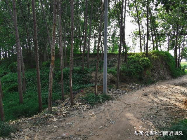 大汶口文化遗址在我国哪里(不仅有明清古宅)(15)