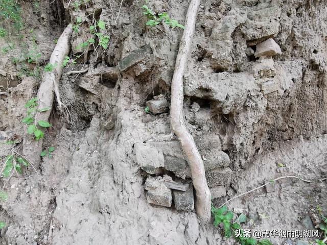 大汶口文化遗址在我国哪里(不仅有明清古宅)(13)