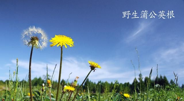 bra是什么时候意思,解bra是什么时候意思?图4